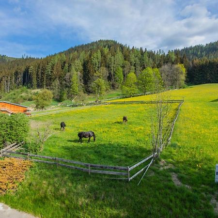 Huberhof 1 By Alpenidyll Apartments Schladming Dış mekan fotoğraf