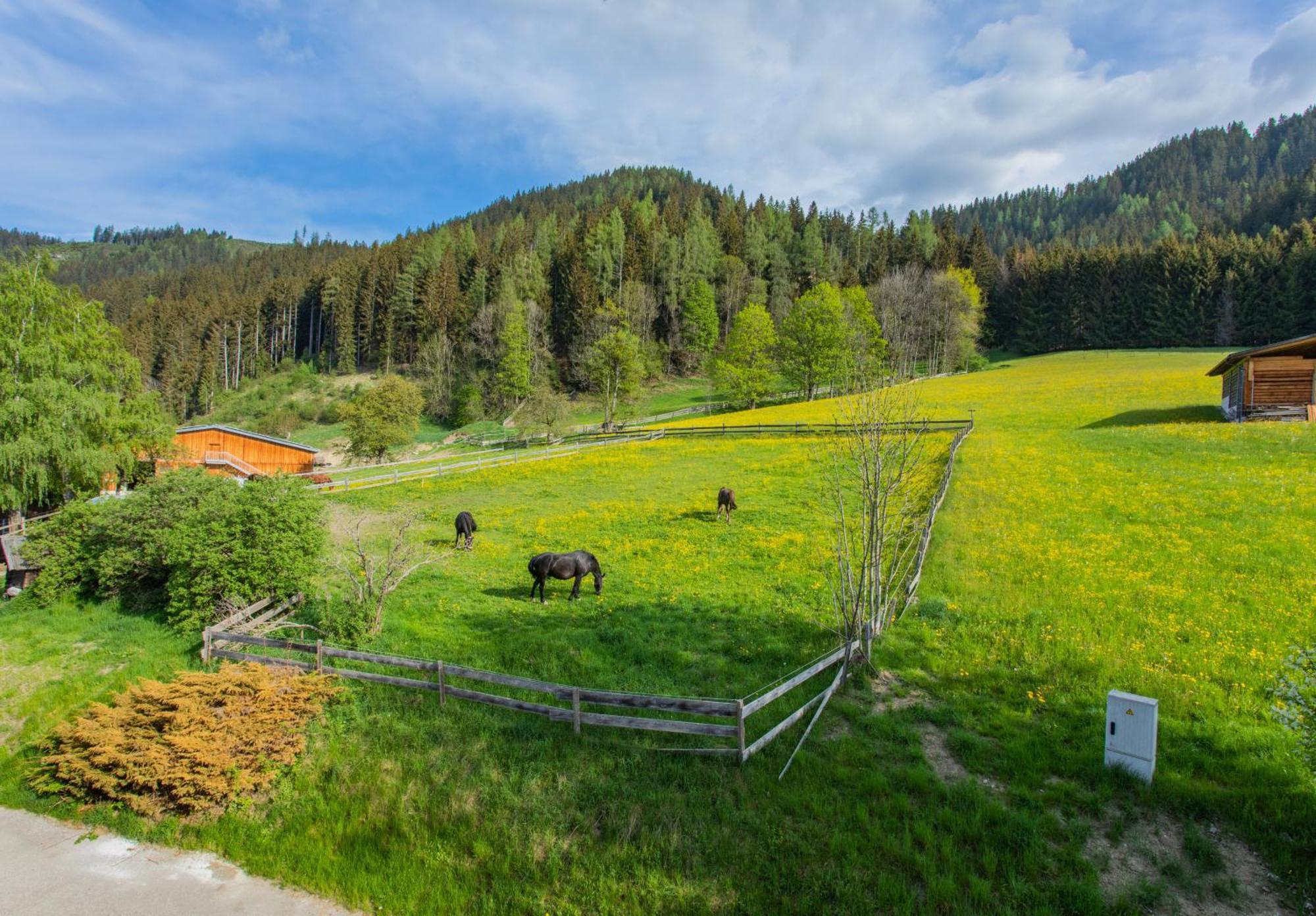 Huberhof 1 By Alpenidyll Apartments Schladming Dış mekan fotoğraf